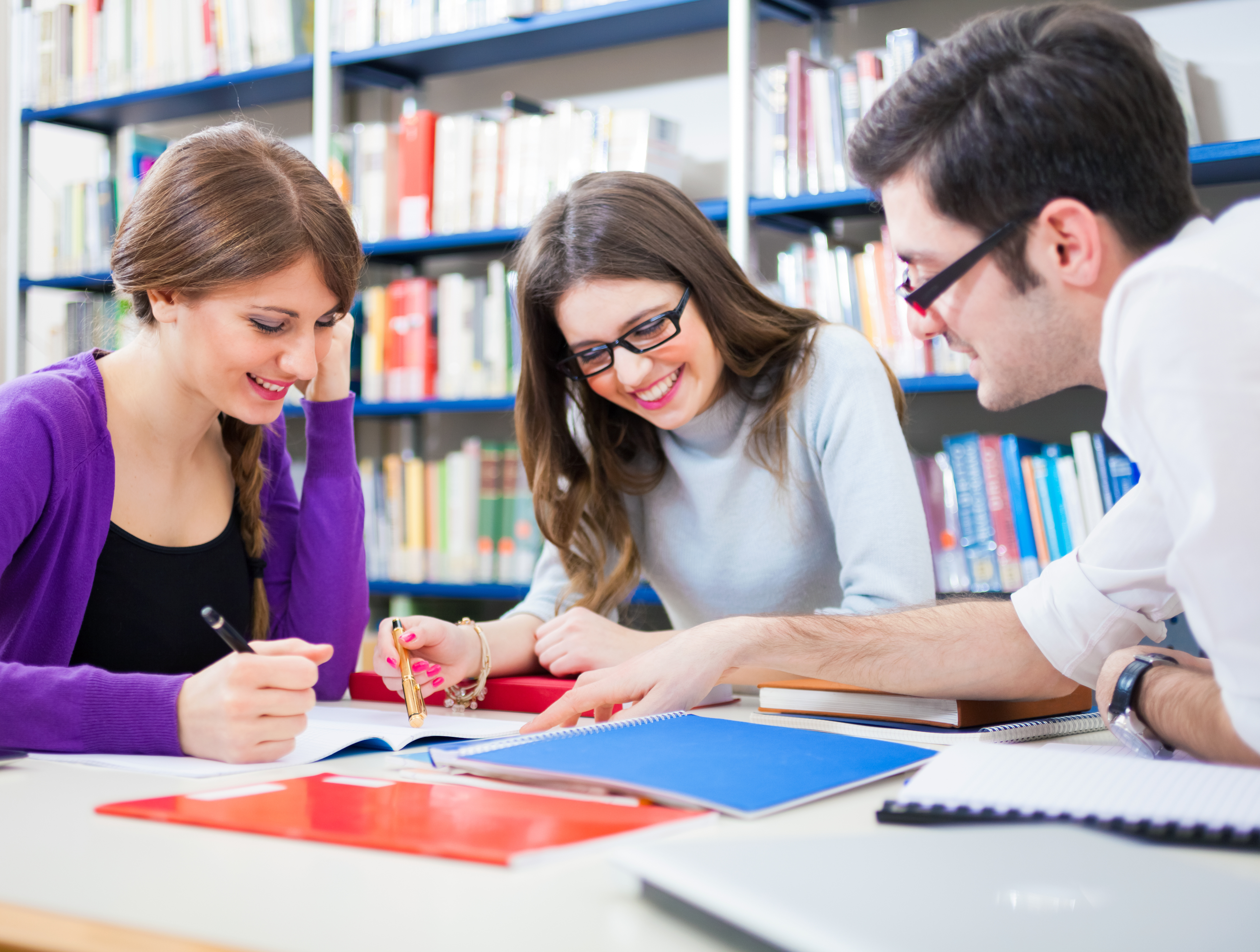 Dissertation Medical School