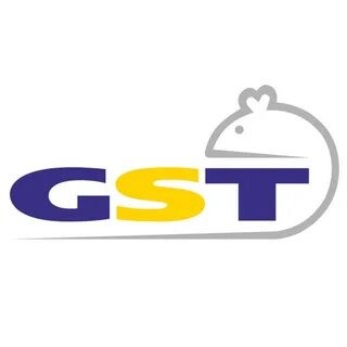 IT – компания «GST»