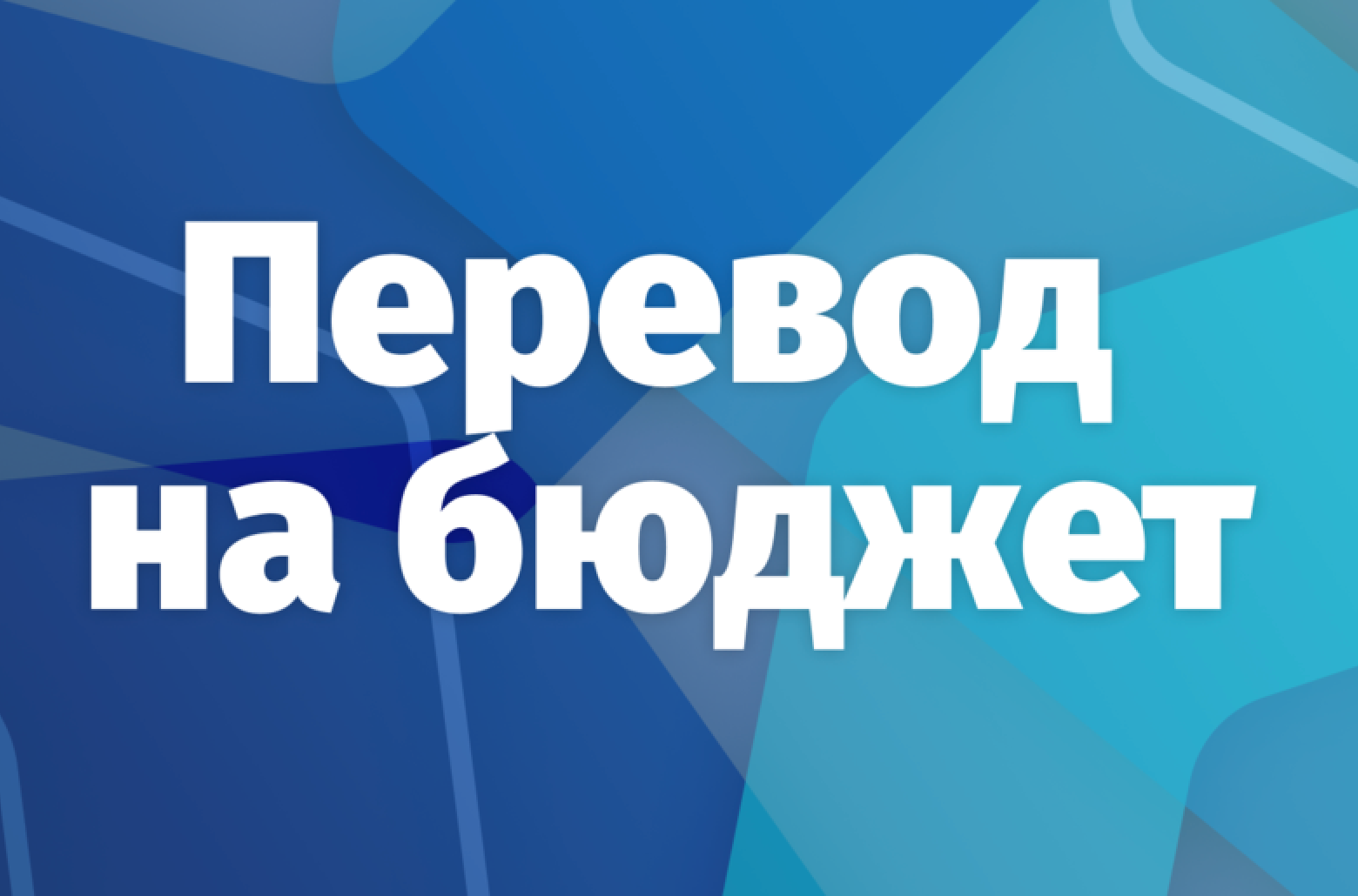 ИТОГИ ПО ПЕРЕХОДУ С ПЛАТНОГО ОБУЧЕНИЯ НА БЮДЖЕТ