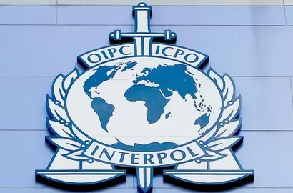 Практическая подготовка: студенты специальности «Правовое обеспечение национальной безопасности» встретились с представителем Интерпола